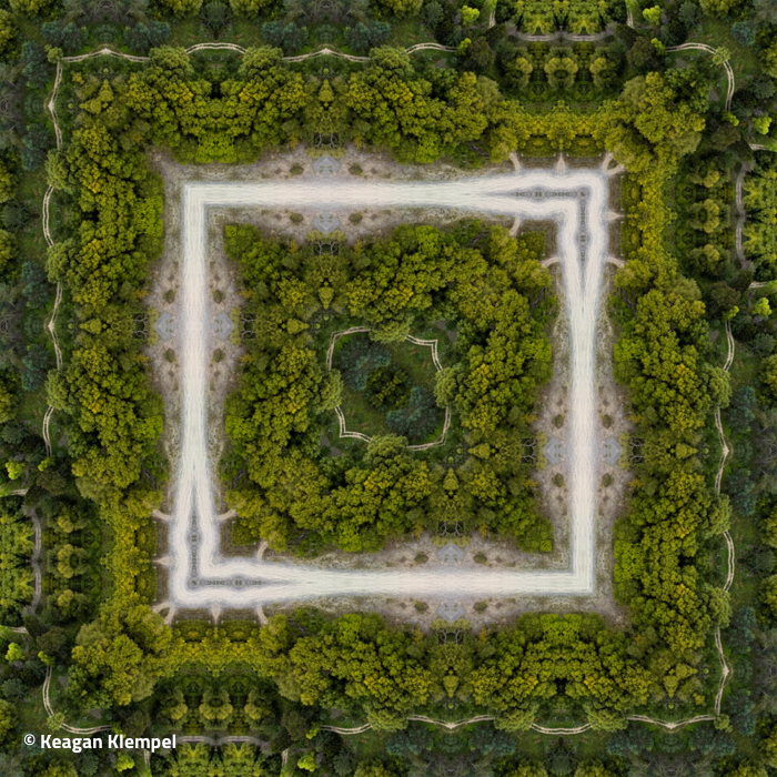 Jungle Trap, abstract photograph, 2026